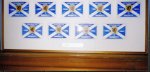 9 in a  Row Championship Flags.jpg