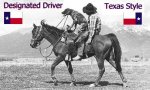 Designated Driver - Texas.jpg