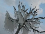 ice.jpg