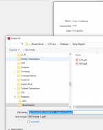 Save File dialogue window.png