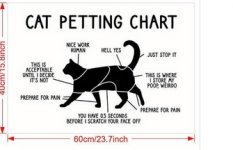 cat_petting_chart.jpg