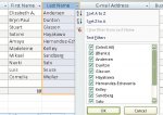 Datasheet Filter & Resize Columns.jpg