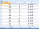 Access Screenshot 2.png