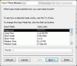 input mask wizard.gif