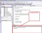 immediatewindow.jpg