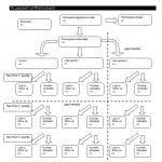 Flow of Participants.PNG