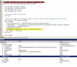 ErrorSPNoShowParameter_VBA.jpg