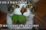 Leprechaun.jpg