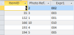 Leading Zero Qry.png