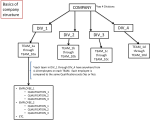 company structure.png