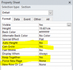 MainReportDetailProperties.PNG