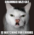 GrammarNaziCat.jpg