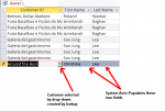 AutoLookupQuery.PNG