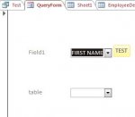 Query Form.JPG