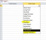 Data type.JPG