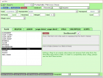 ITEM form -- FLAGS tab [v2020-01-07b].PNG