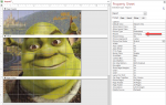 reportimage.png