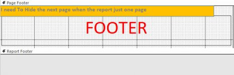 report footer.jpg