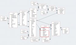 StructureArticle_03.JPG