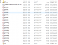 extra copies.png