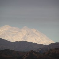 RonPaii