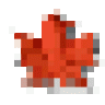 zaky