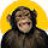 CadMonkey